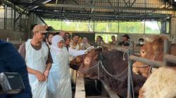 Jelang Idul Adha 1447 H, Khofifah Sambangi Peternak Sapi di Baureno Bojonegoro