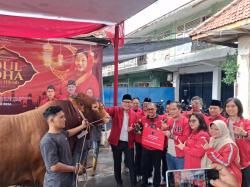 Sapi Kurban Wali Kota Eri Cahyadi hingga Ketua DPRD Surabaya Dipotong di RPH Pegirian