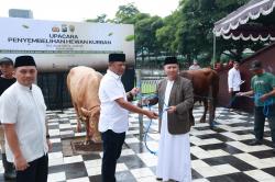 Polda Jatim Salurkan 127 Sapi dan 22 Kambing Kurban untuk Masyarakat