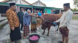 Tradisi Unik Warga Lereng Merapi Boyolali, Sapi Kurban Dimandikan Air Bunga 7 Rupa Jelang Iduladha