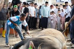 Bobby Nasution Salat Iduladha 1447 H Bersama Ribuan Warga di Binjai