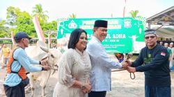 Idul Adha 1447 H, Polda Kalteng Kurbankan 53 Ekor Sapi dan 8 Kambing untuk Masyarakat