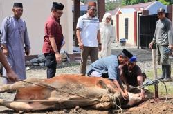 Idul Adha 1447 H, Polres Barru Tebar Ratusan Paket Daging Kurban untuk Warga dan Kaum Duafa
