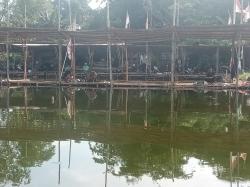 Seru! Hafalan Pancasila Berhadiah Uang Tunai di Empang Babe Sadeli Pondok Cabe