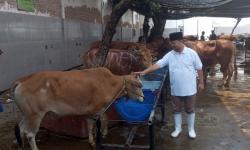 HIKMAH JUMAT : Ada Apa di Balik Darah Qurban?