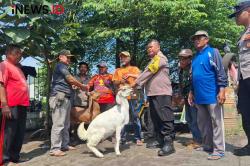 Berkah Iduladha, Tukang Becak Bahagia Dapat Hewan Kurban dari Polsek Jombang