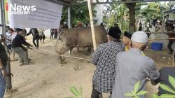 Masjid Jami Tanro Polman Sembelih Sapi Kurban Bantuan Presiden Prabowo Subianto