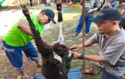 Muhammadiyah Tambun Selatan Tebar 200 Paket Daging Kurban untuk Warga dan Jemaah