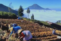 Patakbanteng di Lereng Prau Disiapkan Jadi Desa Wisata Berkelanjutan