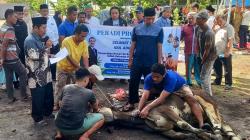 Gema Takbir Iringi Pemotongan Hewan Kurban di FP UISU Medan