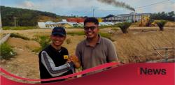 Harga TBS Sawit di Mateng Berangsur Naik, Antrean PKS Mulai Normal 