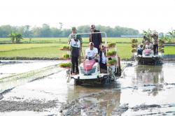 Petani Lamongan Panen Prestasi, Pemerintah Pusat Beri Bantuan Alsintan dan Drone