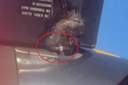 Pesawat Wings Air Viral Ada Pengikat Kabel Dekat Baling-baling, Manajemen Angkat Bicara