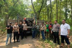 Komplotan Pembalak Liar di Hutan Jombang Digerebek, Kabur ke Jurang Tinggalkan 9 Sepeda Motor