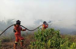 Karhutla Pasir Limau Kapas Padam, Kini Petugas Fokus Gempur 44 Hektare Lahan di Rantau Bais