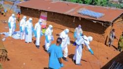 Wabah Ebola Kembali Mengamuk, 223 Orang Tewas di Kongo dalam 2 Pekan