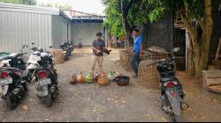 Berawal dari Laporan 110, Polisi Gerebek Dugaan Sabung Ayam di Bae Kudus