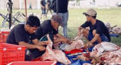 Perusahaan Ini Raih ASEAN Records dan Asia Records lewat Asia Mega Qurban 2026