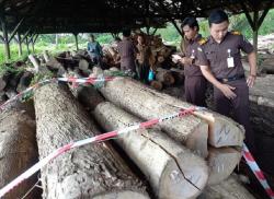 Berkas Kasus Pencurian Kayu Dengan Tersangka Kades Lebungjumuk Sudah di Kejaksaan Grobogan