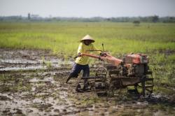 Petani Lebak Keluhkan Barcode BBM Alsintan, Akses Solar Subsidi Makin Sulit!