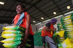 Serapan Beras Bulog Banyumas Capai 54.717 Ton, Dukung Stok Nasional
