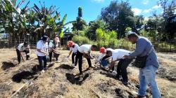 Rutan Kefamenanu Gandeng Petani Lokal Tanam Jagung Hibrida Rawat Ketahanan Pangan