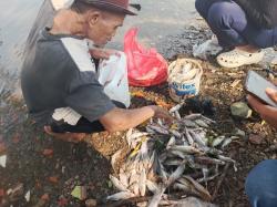 DLH Karawang Ungkap Sejumlah Faktor Dugaan Pencemaran Irigasi Leuweung Seureuh–Johar