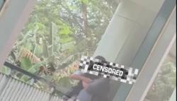 Viral Mahasiswa Kepergok Ciuman Sesama Jenis di Area Kampus, Begini Kronologinya