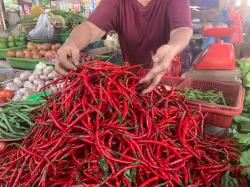 Harga Tomat dan Cabai Menggila, Inflasi Sumut Tembus 4,35 Persen