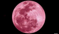 Deretan Fenomena Langit yang Akan Muncul di Juni 2026, Srawberry Moon Paling Dinanti