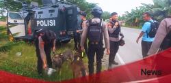Tim K9 Polda Sulbar Dikerahkan Buru Pelaku Pembunuhan Istri di Mamuju Tengah