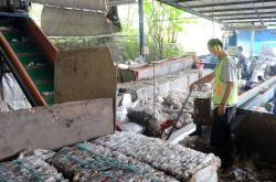Gunakan Teknologi Sebagai Penggerak, Perusahaan Investasi Siap Pacu Industri Hijau