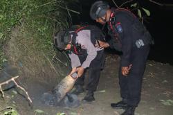 Jibom Brimob Papua Netralisir UXO Berbahaya di Sentani, Warga Diimbau Waspada