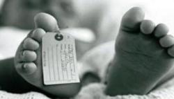 Bondowoso dan Bangkalan Masuk Daerah dengan Angka Kematian Bayi Tertinggi di Jatim