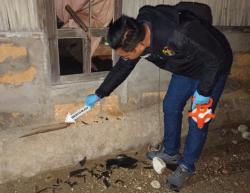 Rumah Warga Desa Bena Dirusak Massa, Polres TTS Turun Tangan, Satu Orang Jadi TSK