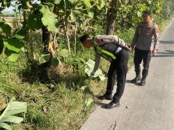 Pria Ditemukan Tewas di Pinggir Jalan Sumberlawang Sragen, Diduga Korban Tabrak Lari