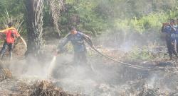 Lagi, Dalkarhutla Dishut Kalteng Padamkan Kebakaran Lahan di Petuk Katimpun Palangka Raya