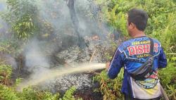Kebakaran Lahan Masih Terjadi di Palangka Raya, Tim Dalkarhutla Diterjunkan padamkan Api