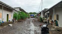 Janji Huntap Belum Terwujud, Penyintas Lewotobi Terus Bertahan di Pengungsian