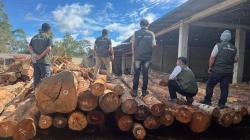 Ilegal dan Tanpa Barcode! Ratusan Kayu Log di Sawmill Humbahas Disita Gakkum Sumatera