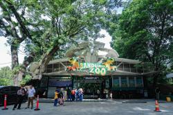Kabar Gembira Wargi! Kebun Binatang Bandung Bakal Punya Standar Internasional
