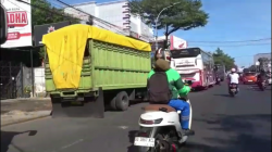 Solar Langka, Antrean Truk dan Bus Mengular di Sejumlah SPBU Makassar