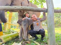 Mekar di Tengah Tantangan, Bayi Gajah Tesso Nilo Dinamai Nona Seroja