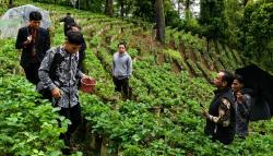 Menikmati Sejuknya Malino dari Zayn Strawberry, Destinasi Wisata yang Sedang Viral