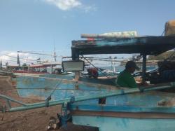 Paceklik Ikan 8 Bulan, Nelayan Banyuwangi Terpaksa Cari Kerja Sampingan demi Bertahan Hidup