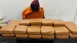 Polda Babel Sita 21,6 Kg Ganja Saat Gerebek Rumah Pemuda di Bangka Tengah