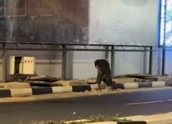Aksi Rayap Besi Terekam Kamera Pelari Pagi di Terowongan Pelita Batam