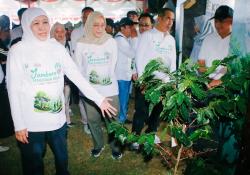 Nilai Transaksi Perhutanan Sosial Jatim Tembus Rp447 Miliar