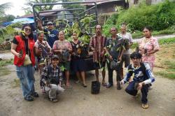 Pulihkan Hutan Adat, GJI Distribusikan 10.000 Bibit Kemenyan di Sumut