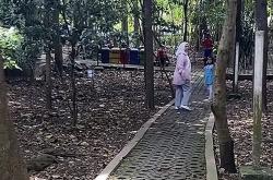 WALHI Kritik Ranperda RTH Kota Malang, Luasan Ruang Hijau Masih Jauh dari Target